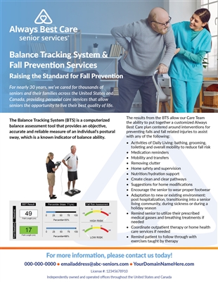 Balance Tracking System & Fall Prevention Services Flyer
